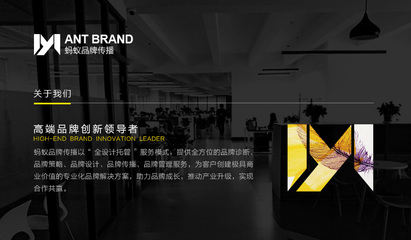 品牌本质之选 蚂蚁如何用最设计讲述最故事