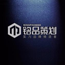Vi设计 品牌手册设计 广告设计 logo设计